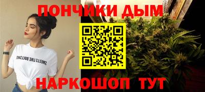 гашик Шахты