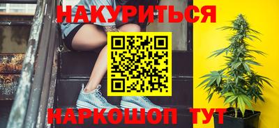 гашик Шелехов