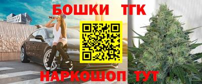 гашик Шелехов