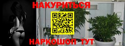 гашик Шахты